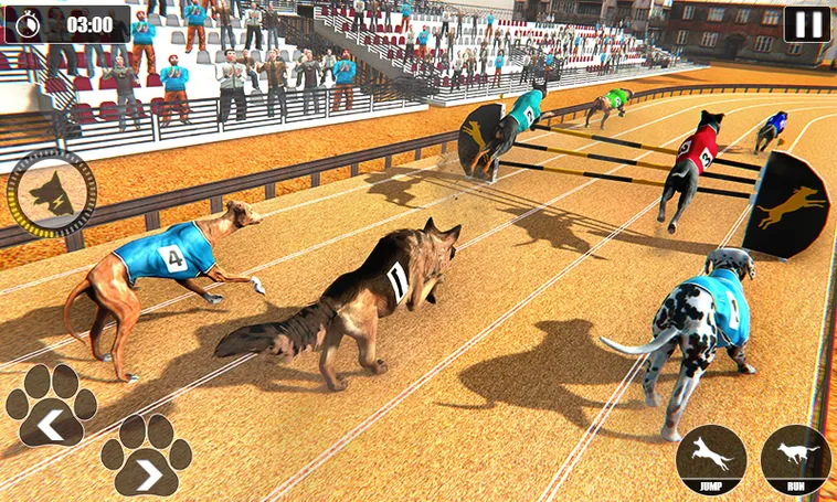 Bí Quyết Chơi Game Nhanh Đua Chó Tại BJ88 Để Thắng Đậm Nhanh Chóng