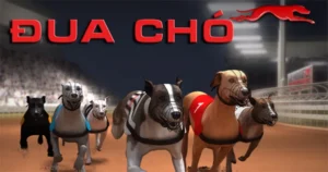 Bí Quyết Chơi Game Nhanh Đua Chó Tại BJ88 Để Thắng Đậm Nhanh Chóng